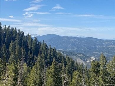 1695 Packsaddle Trl, Evergreen, CO for Sale