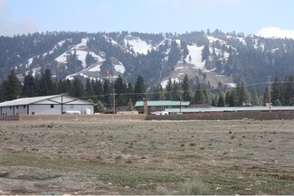 Big Bear Lake, CA Commercial Land - 100 Business Center Dr
