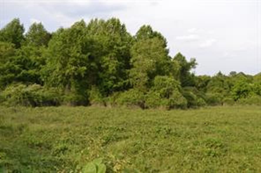 3662 Centerville Hwy, Snellville, GA for Sale