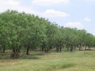 Alton, TX Commercial Land - 1008 N Mayberry Blvd