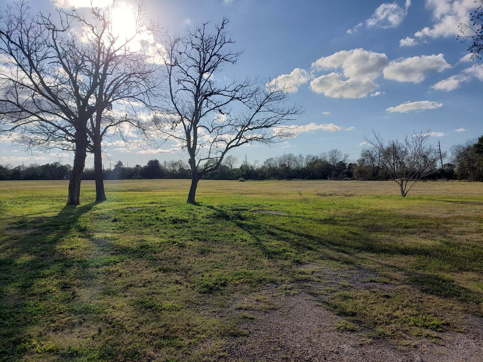 206 Staffordshire Rd, Stafford, TX for Sale