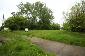 Detroit, MI Commercial Land - 436 Bellevue St