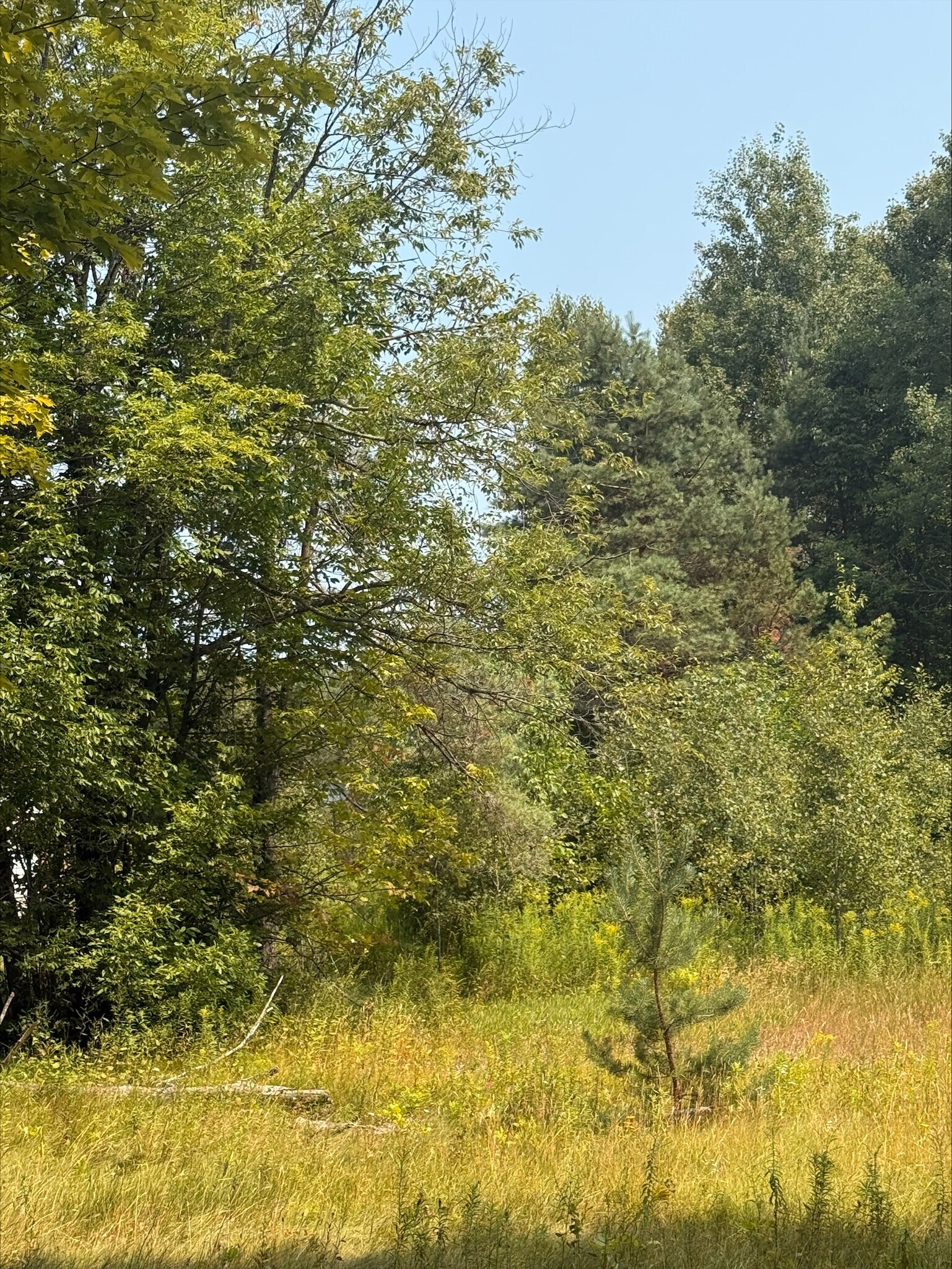 3995 Boulter Rd, Boulter, ON for Sale