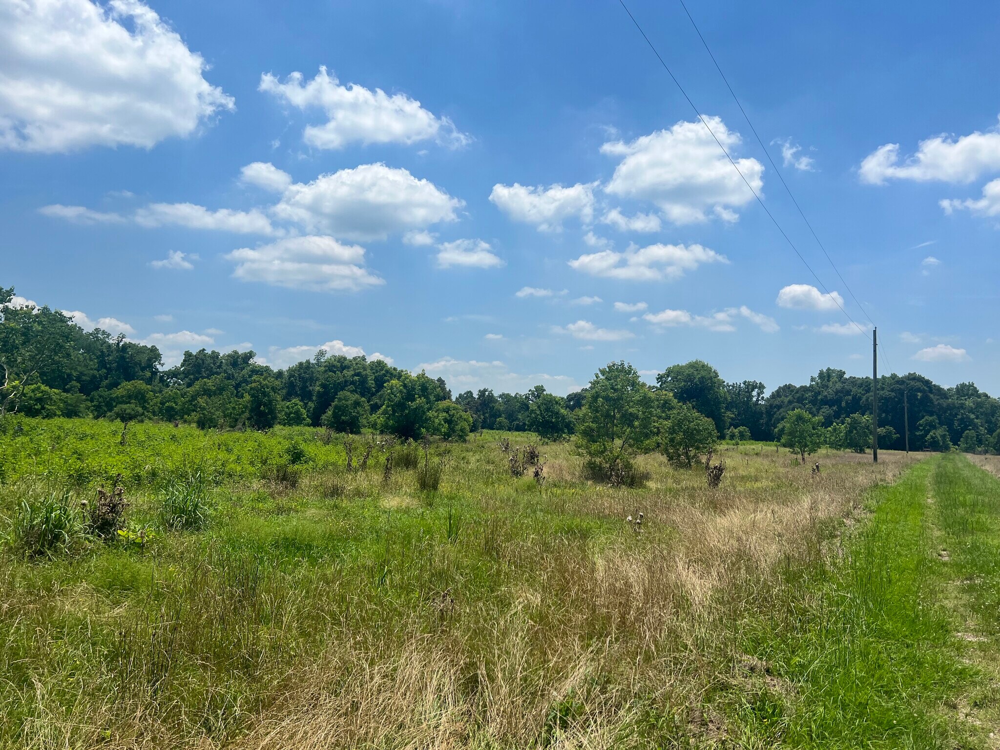 TBD CR 2326, Dayton, TX for Sale