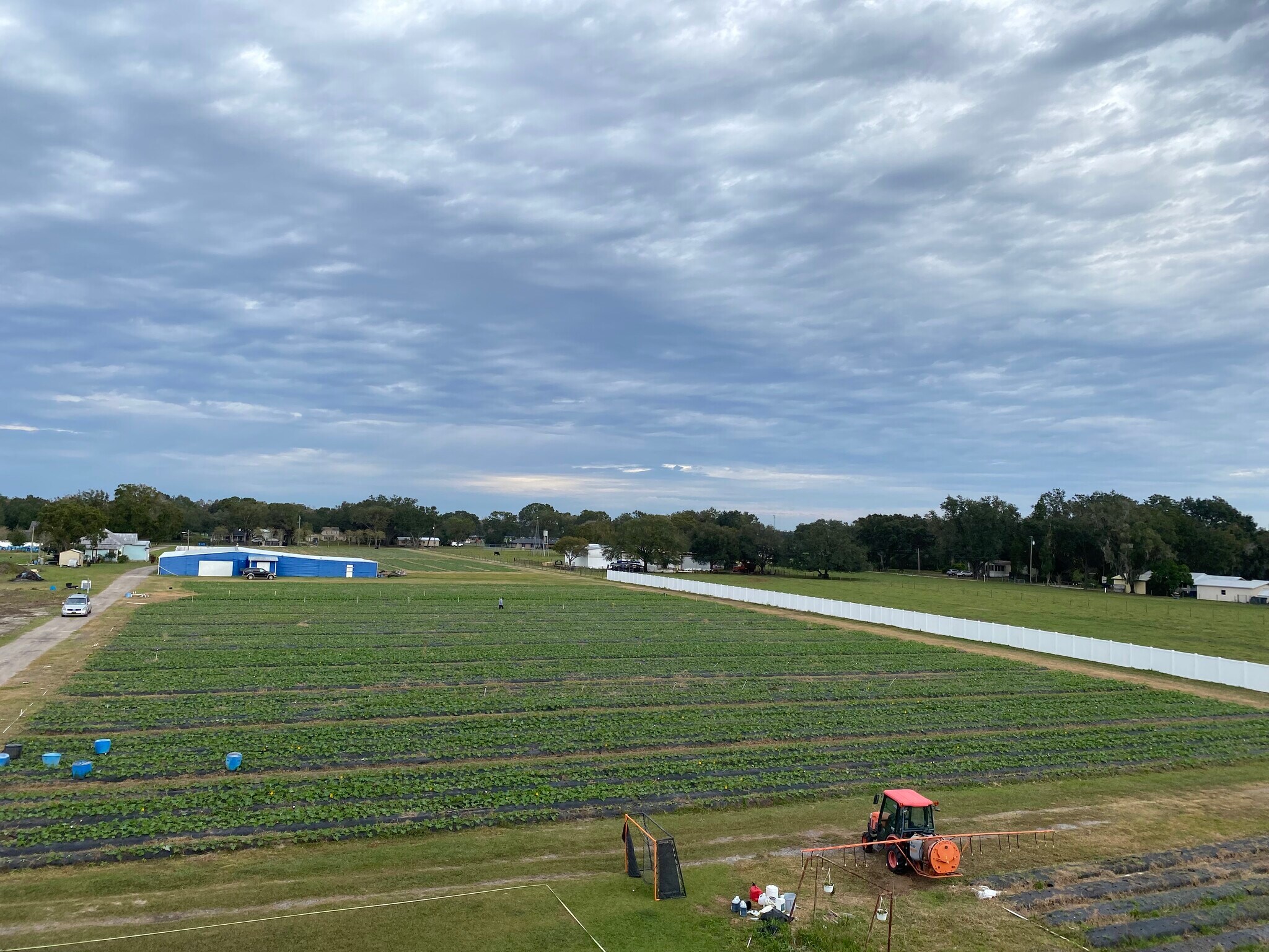 , Plant City, FL for Sale