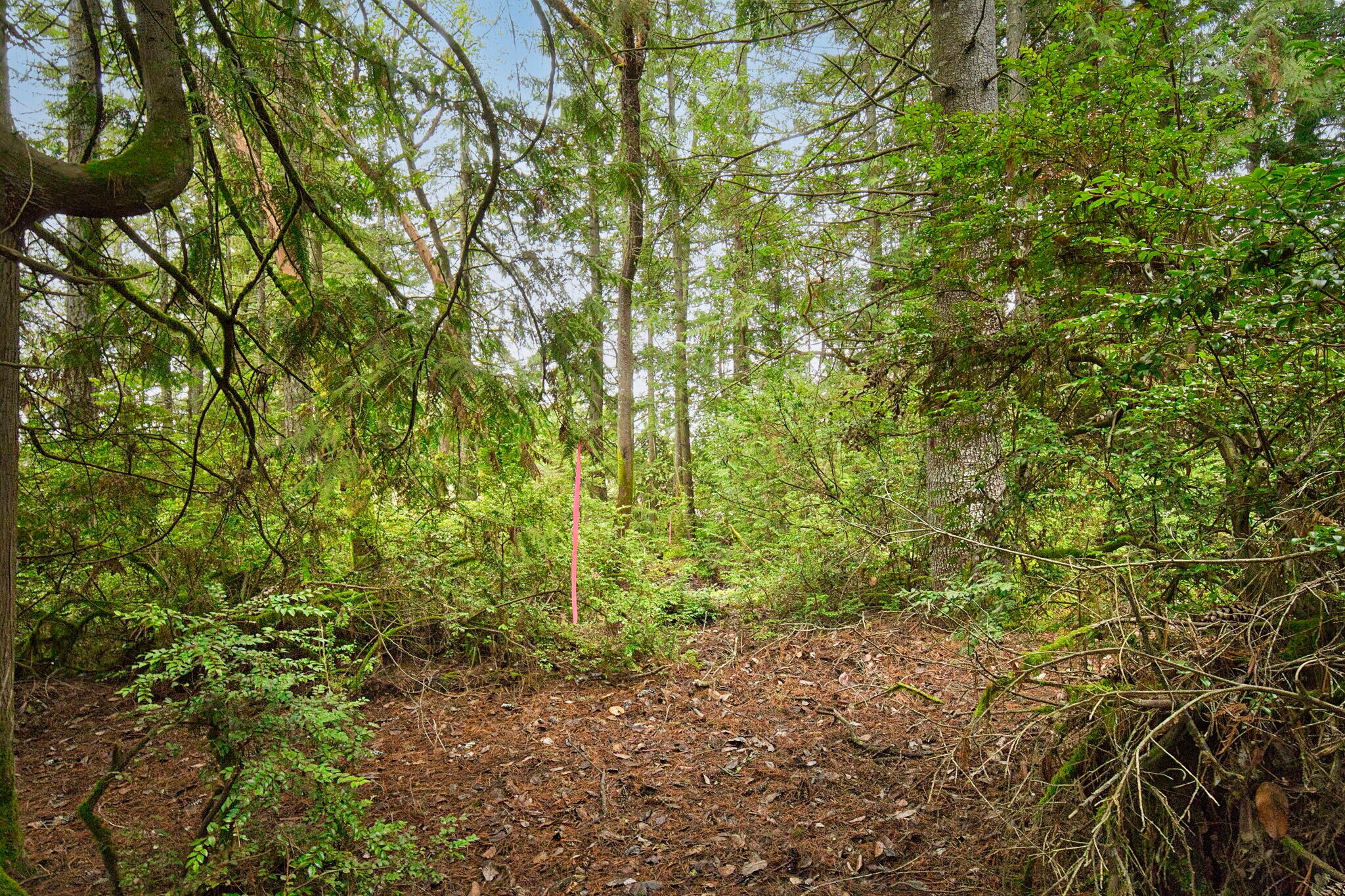 00 Dickey Rd, Silverdale, WA for Sale
