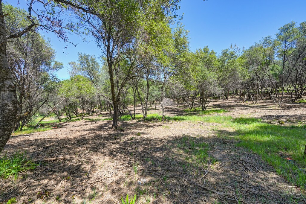 10650 Werner Rd, Auburn, CA for Sale