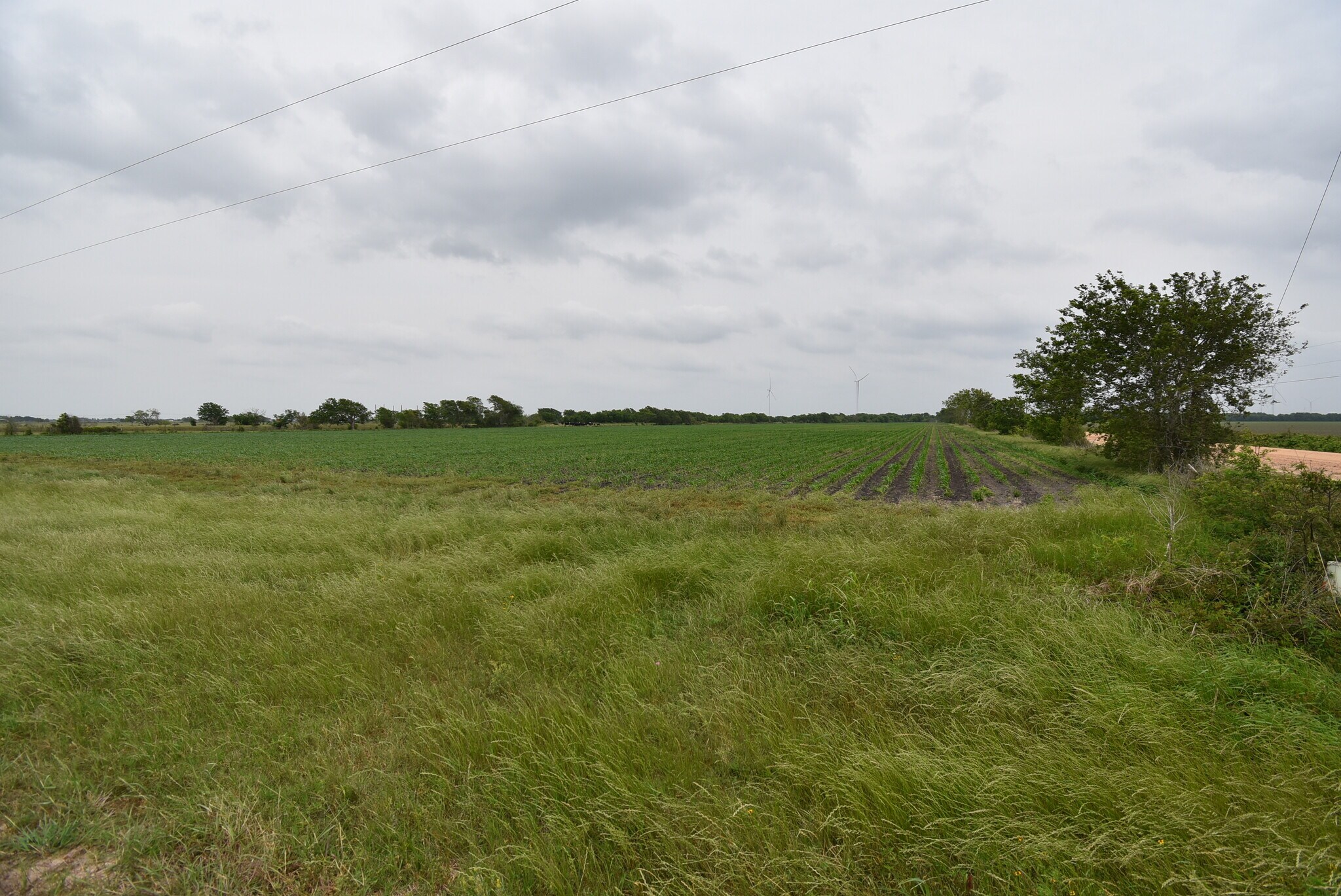 000 FM 1162, El Campo, TX for Sale