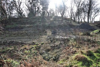 Gatehouse Of Fleet, DGY Residential - Bracken Wood