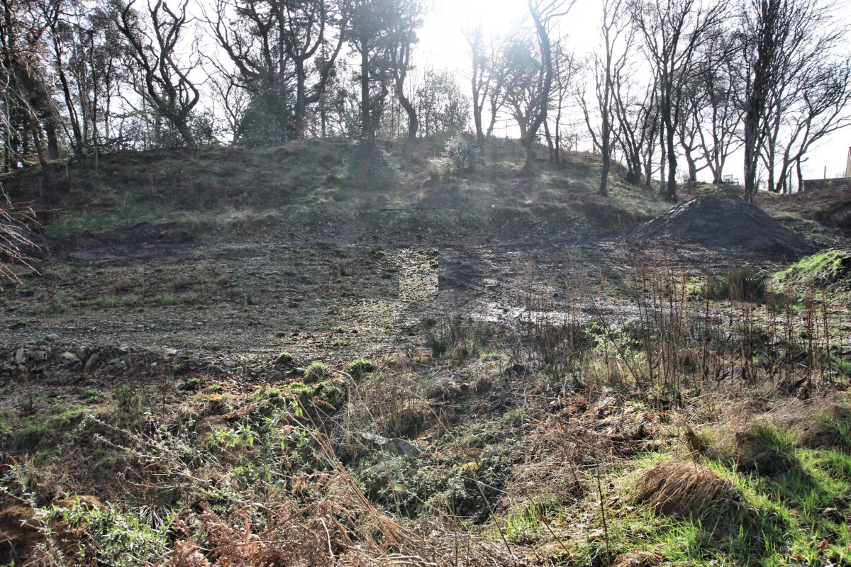 Bracken Wood, Gatehouse Of Fleet, DGY for Sale