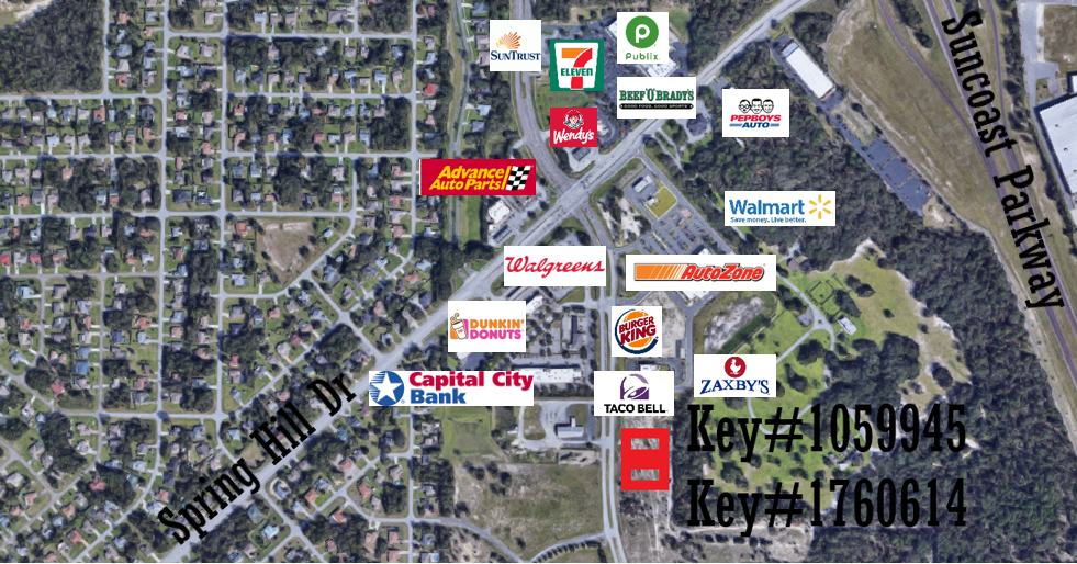 00 Anderson Snow Rd, Spring Hill, FL for Sale