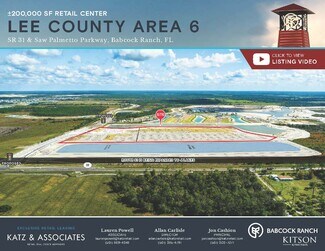 Babcock Ranch, FL Retail - SR 31 & Palmetto Pky