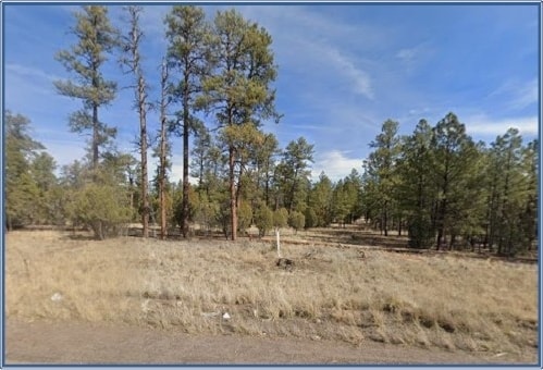 4900 Arizona 260, Lakeside, AZ for Sale