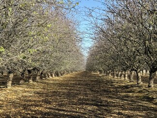 Firebaugh, CA Agricultural - Fairfax Ave and Jensen ave