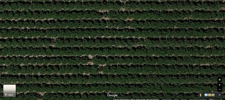 Madera, CA Commercial - 12486 Road 19