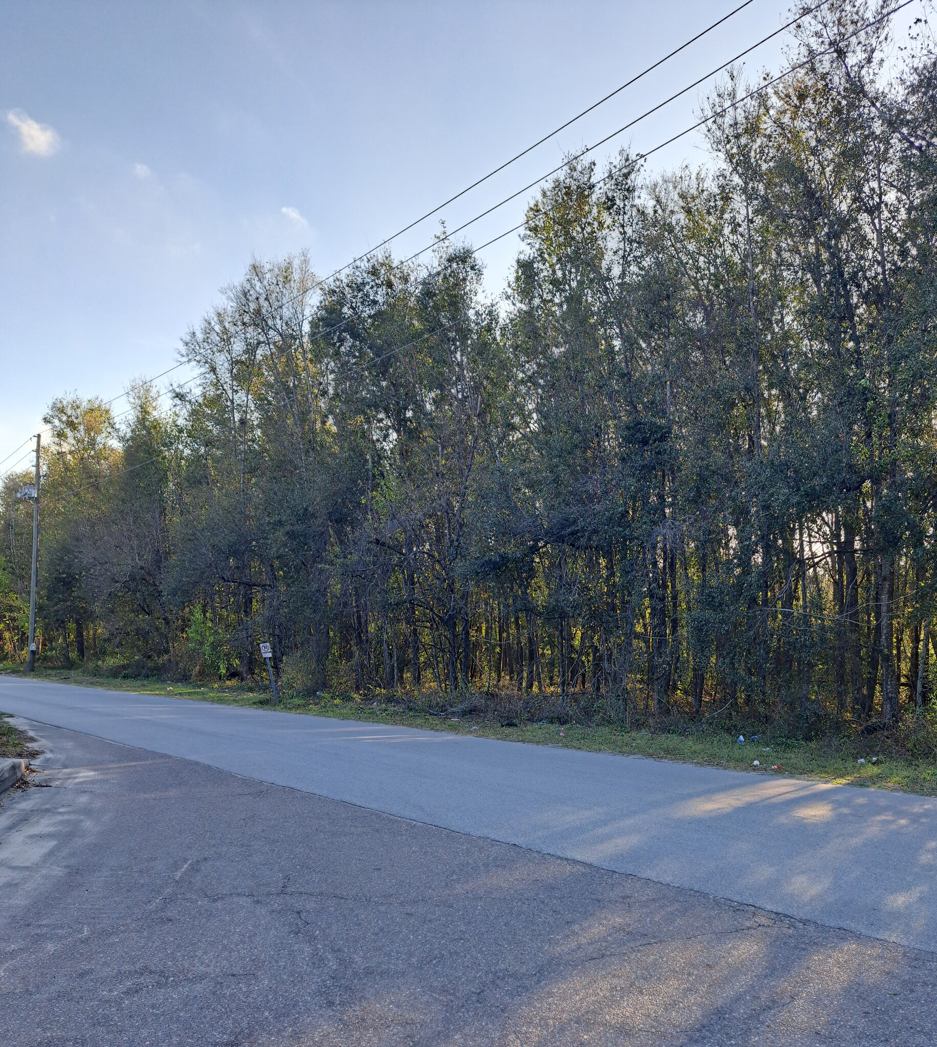 0 20th-Street 20th Street, Zephyrhills, FL for Sale