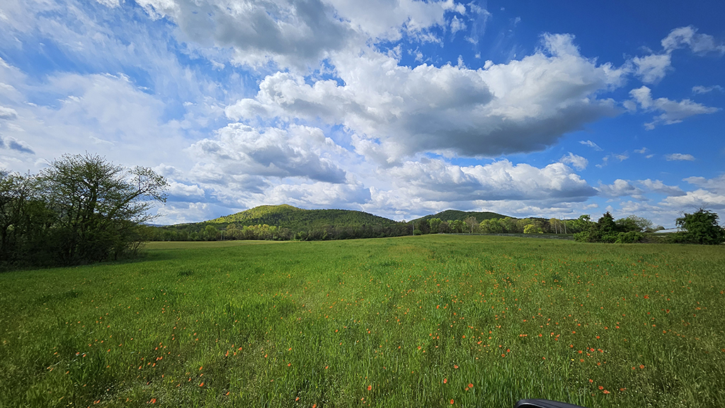 Chapel Village Road, Stanley, VA for Sale