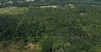 Bethlehem, GA Residential Land - 223 Whitley Rd