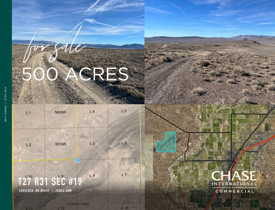Lovelock Valley SR 399 & Lone Mountain Road, Lovelock, NV for Sale