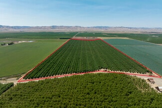 Newman, CA Agricultural - Draper Rd