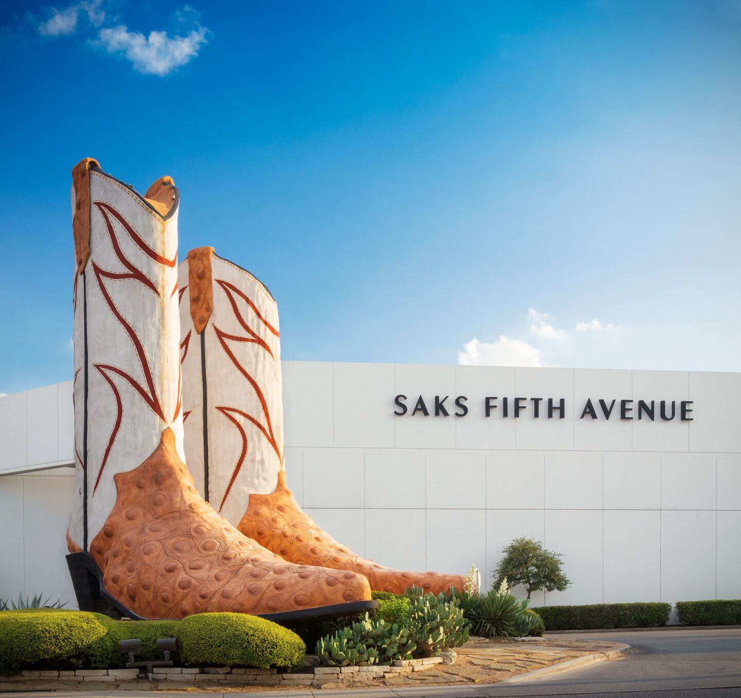 7400 San Pedro Ave, San Antonio, TX for Rent