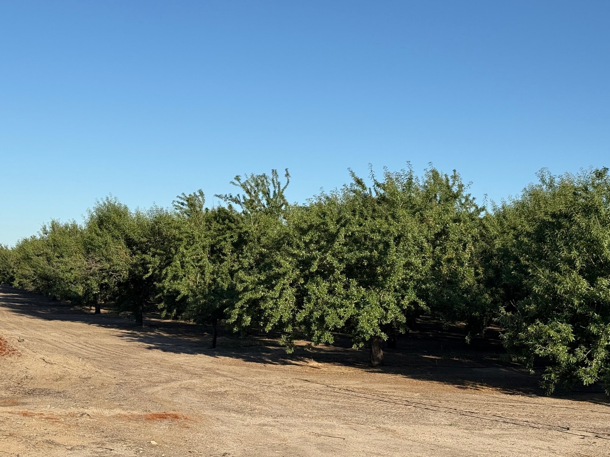 2700 North Ave ave, Modesto, CA for Sale