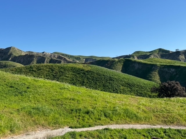 31029 Hasley Canyon Rd, Castaic, CA for Sale