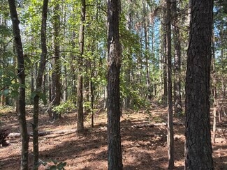 Taylorsville, GA Residential - 107 Popham rd