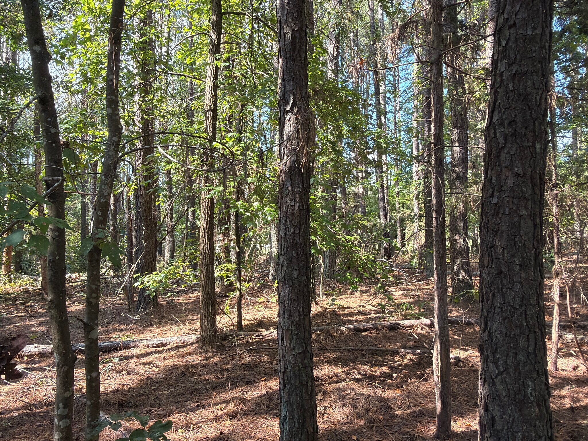 107 Popham rd, Taylorsville, GA for Sale