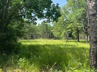 Walnut Hill, FL Residential Land - 0 Nokomis Road Walnut Hill, FL Residential Land - 0 Nokomis Road