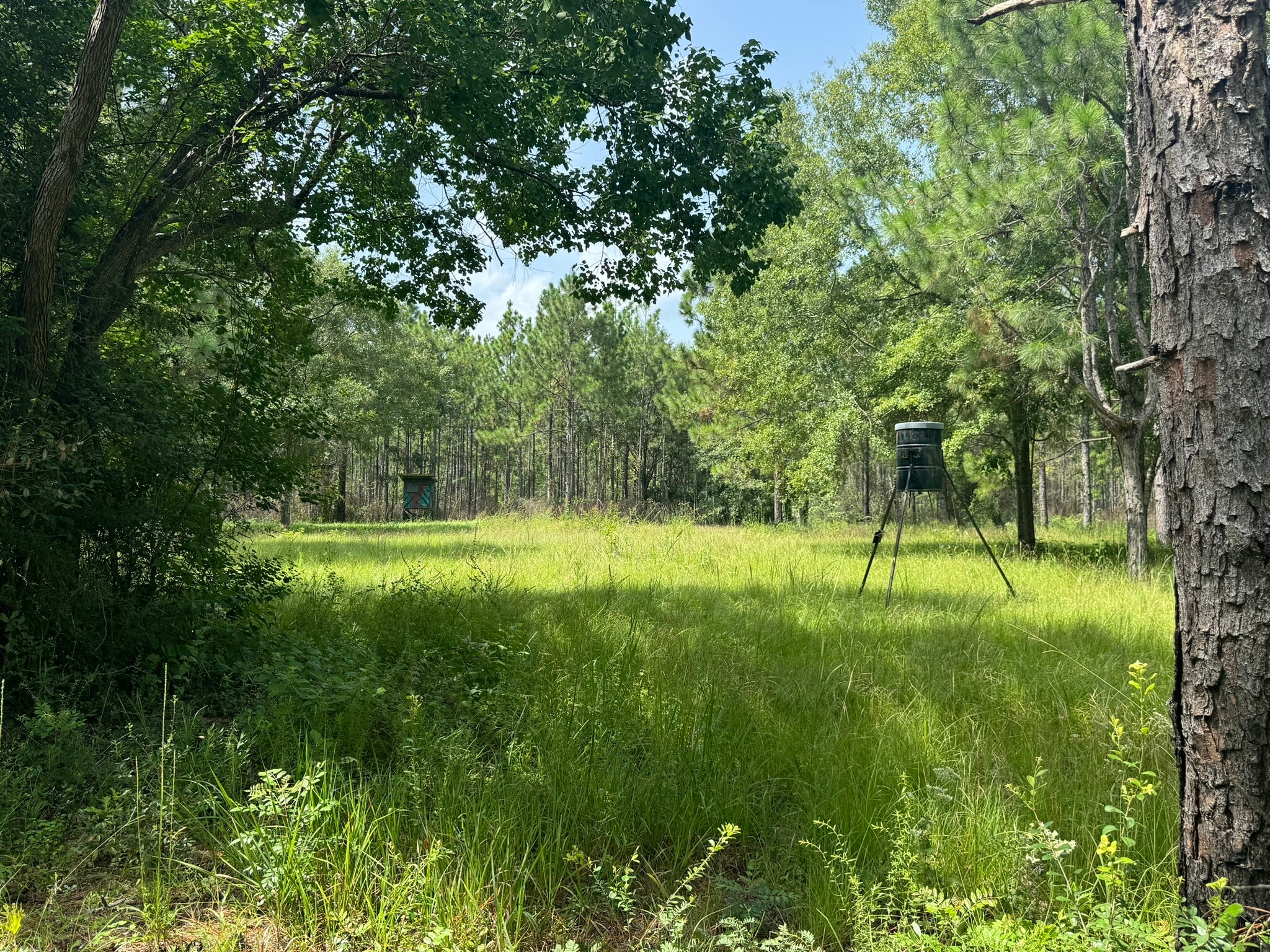 0 Nokomis Road, Walnut Hill, FL for Sale
