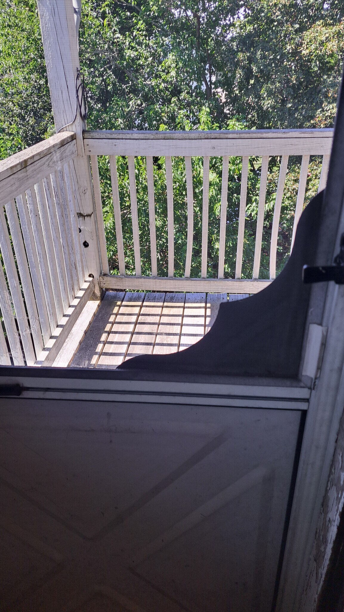 16 Wellington Hill St, Boston, MA for Sale