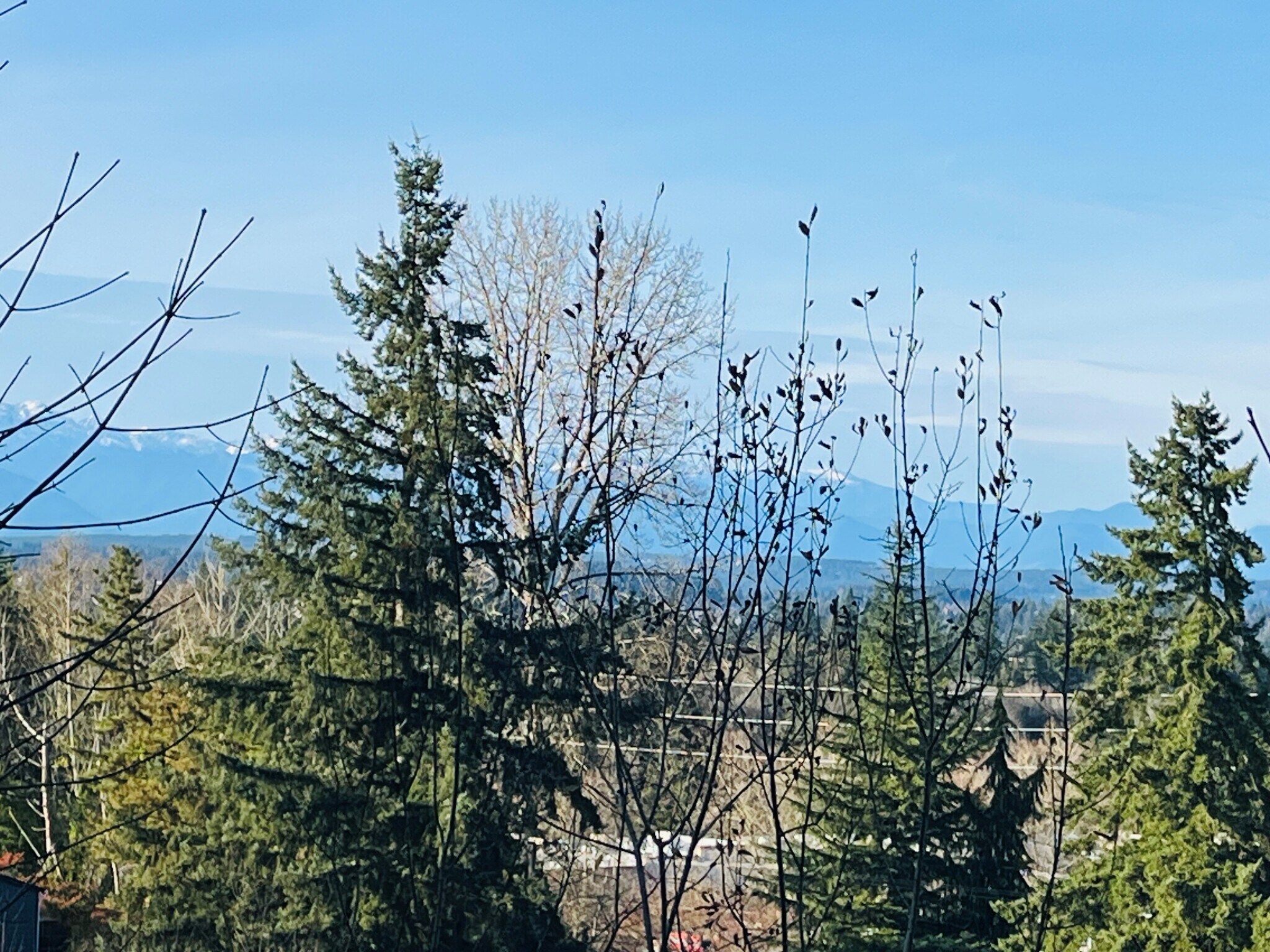 SE Mile Hill Dr, Port Orchard, WA for Sale