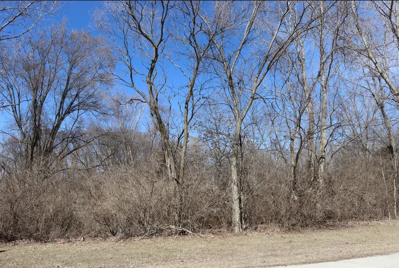 35 Birchwood Ln, Saint Anne, IL for Sale