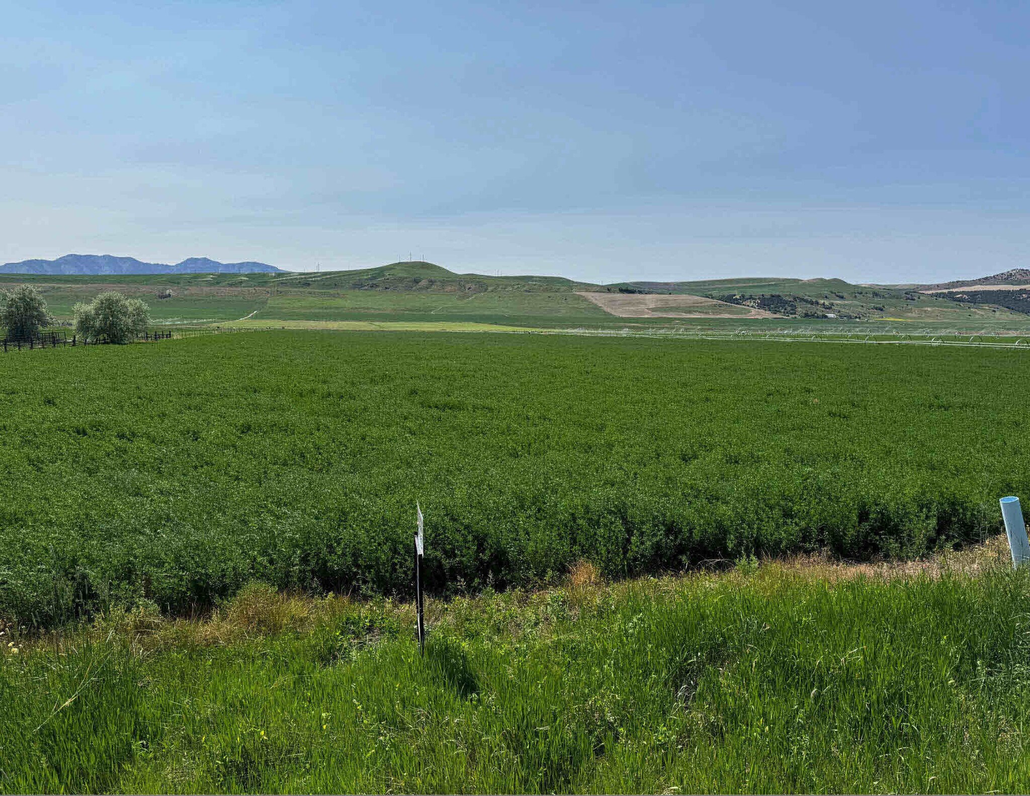 1225 4800 Hwy, Trenton, UT for Sale