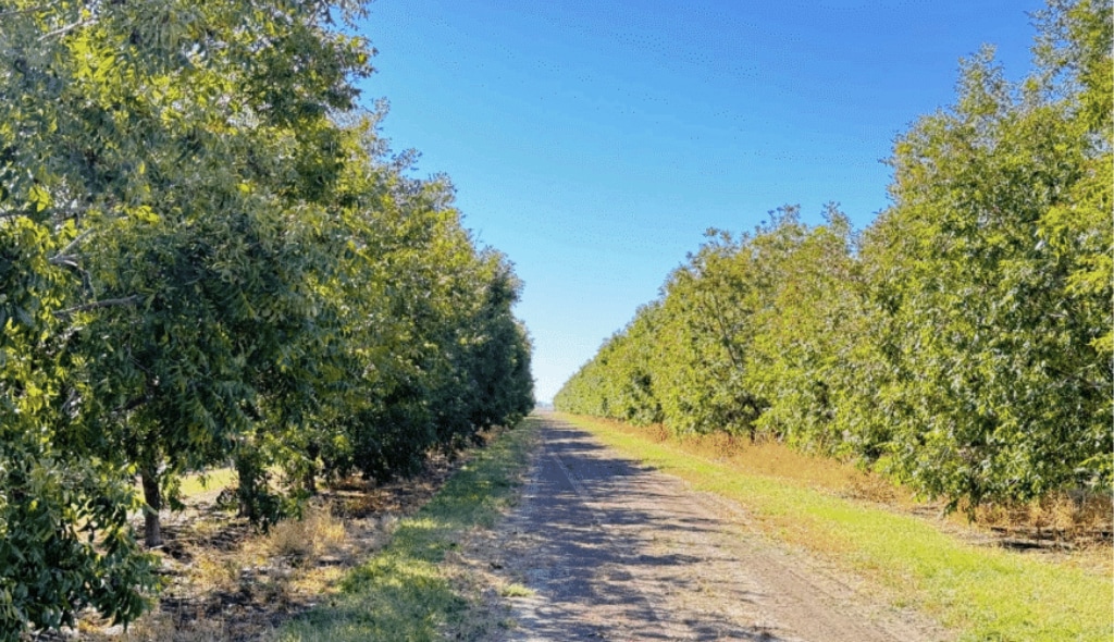 Mimbres Valley Development, Deming, NM for Sale