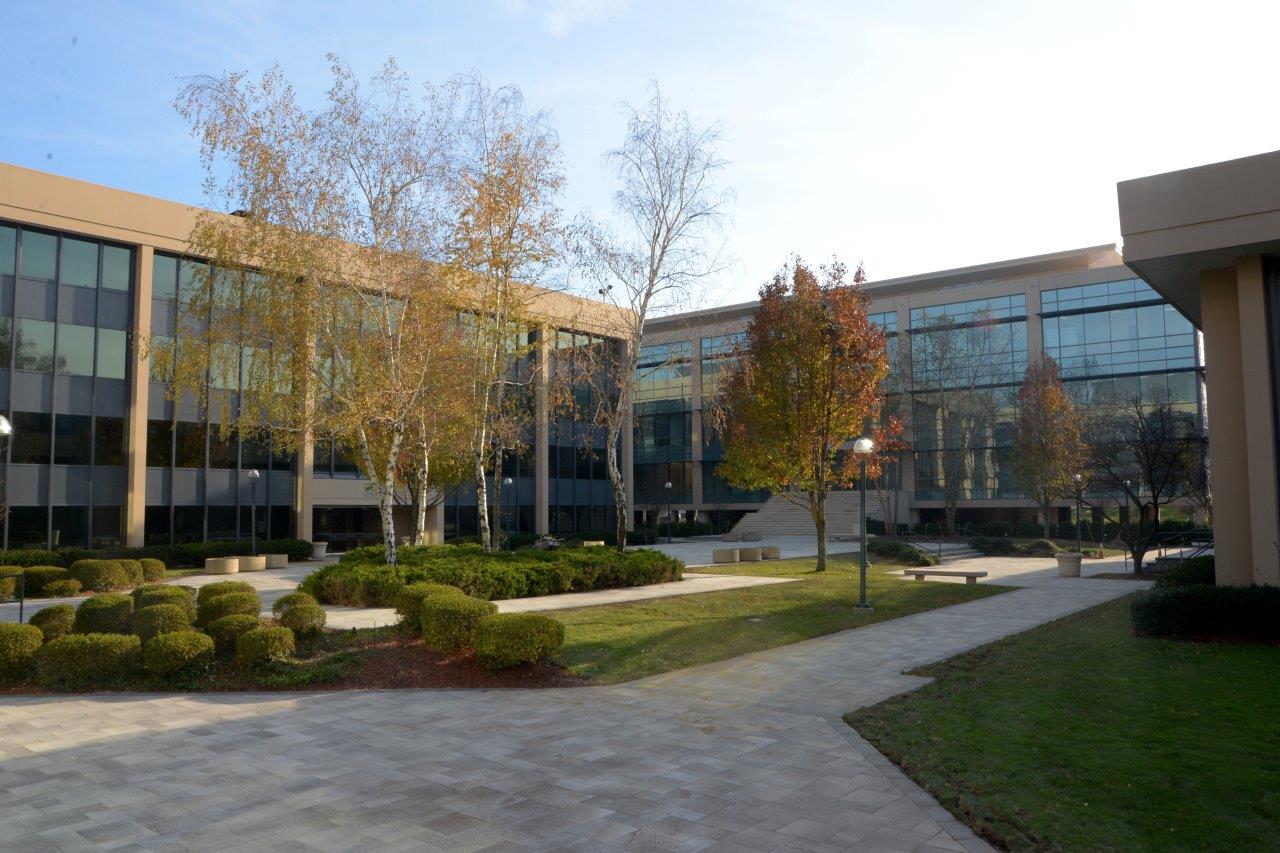 3000 Westchester Ave, Purchase, NY for Rent