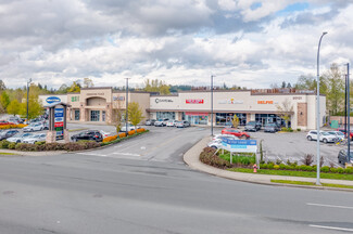 Langley Twp, BC Retail - 20121 Willowbrook Dr