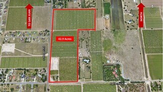 San Juan, TX Commercial - 42.90 Acs at NE Corner of S. Stewart & Hall Acres San Juan, TX Commercial - 42.90 Acs at NE Corner of S. Stewart & Hall Acres
