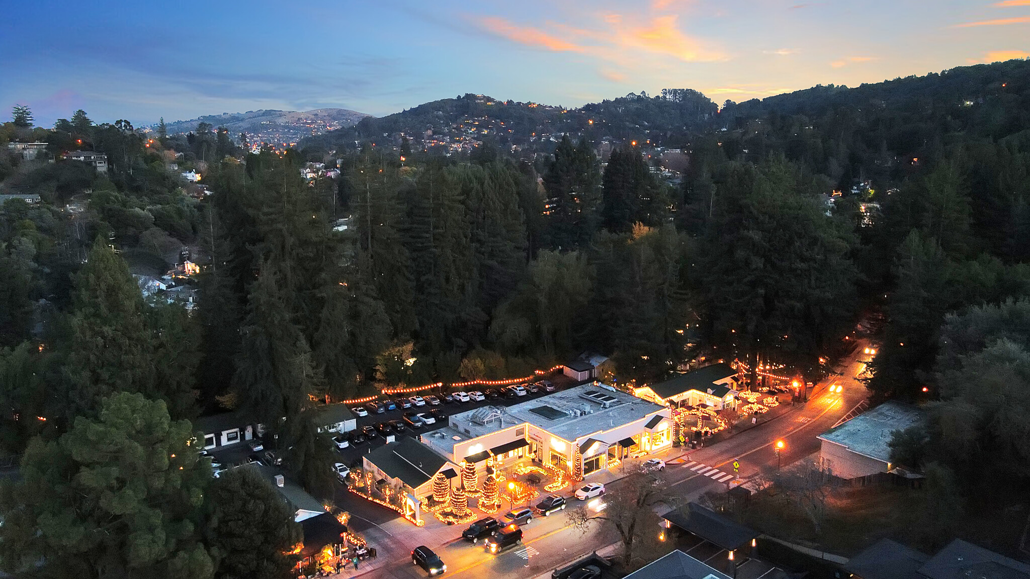 274 Magnolia Ave, Larkspur, CA for Rent