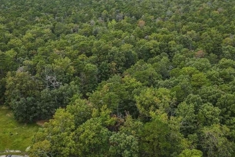 15 Forest View Ct, Egg Harbor Township, NJ for Sale