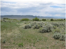 Off County Road B-064, Amalia, NM for Sale