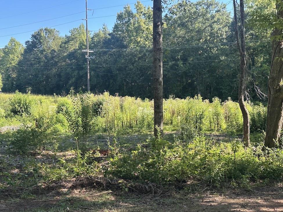 524 Old Bremen Rd, Carrollton, GA for Sale