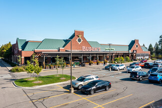 Canton, MI Retail - 225 S Canton Center Rd