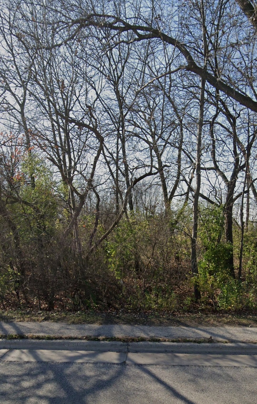160 US 12 hwy, Fox Lake, IL for Sale