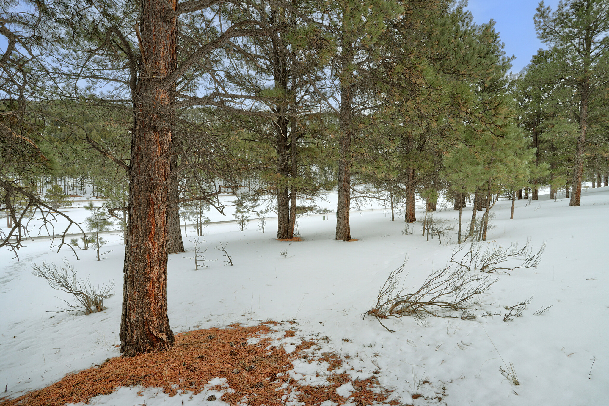 Lot 21A Golf View Terrace, Angel Fire, NM for Sale