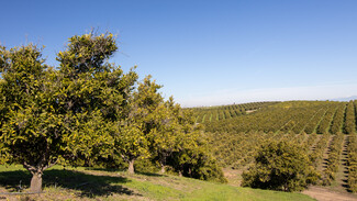 Bakersfield, CA Agricultural - 14265 Highway 65