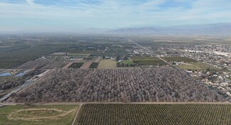 Ivanhoe, CA Commercial Land - Ave 324 @ Road 156