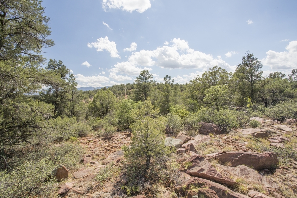 1200 Airport, Payson, AZ for Sale