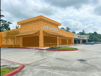 The Woodlands, TX Retail - 1400 Research Forest Dr